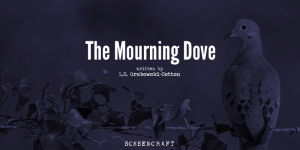 the morurning dove rec