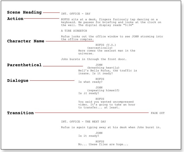 What Is The Format Of Script Writing