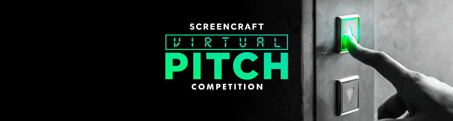 Virtual Pitch - Previous Seasons
