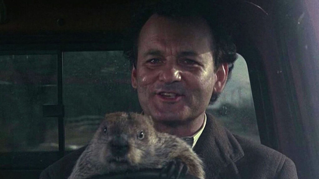 Phil Connors (Bill Murray) and a groundhog driving a car in 'Groundhog Day'